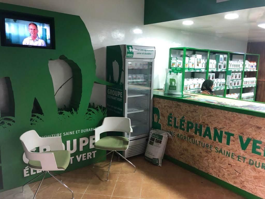 Aménagement de magasin de vente Éléphant Vert, Dlalha